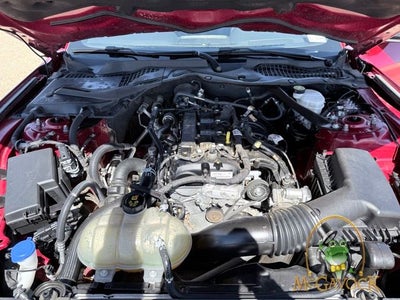 2021 Ford Mustang EcoBoost